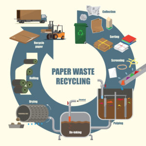 pulp and paper processing 